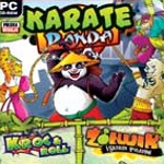 Karate Panda