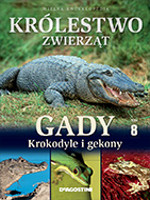 Gady: krokodyle i gekony