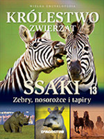 Ssaki: zebry, nosorożce i tapiry