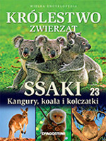 Ssaki: Kangury, koala i kolczatki